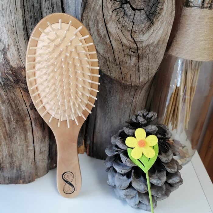 Brosse à cheveux en bois